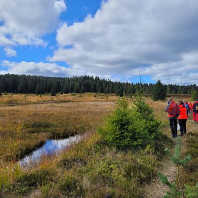 Vereinswanderung nach Sauersack und Fr&uuml;hbuss