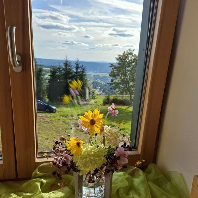 Blick aus Appartmentfenster