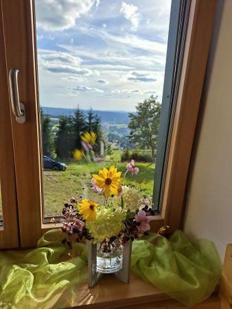Blick aus Appartmentfenster Blick aus Appartmentfenster